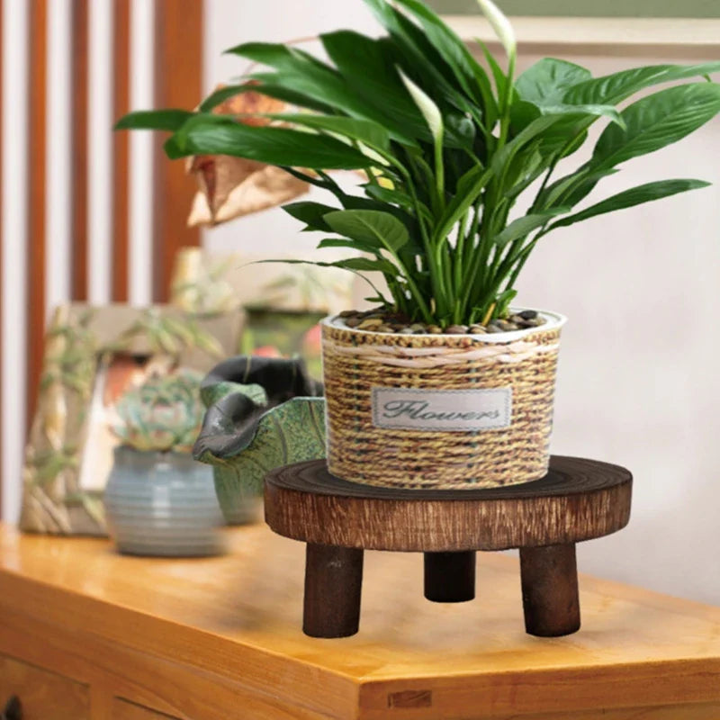 Stylish Plant Stand - Moisture-Proof Wood Holder for Home Decor